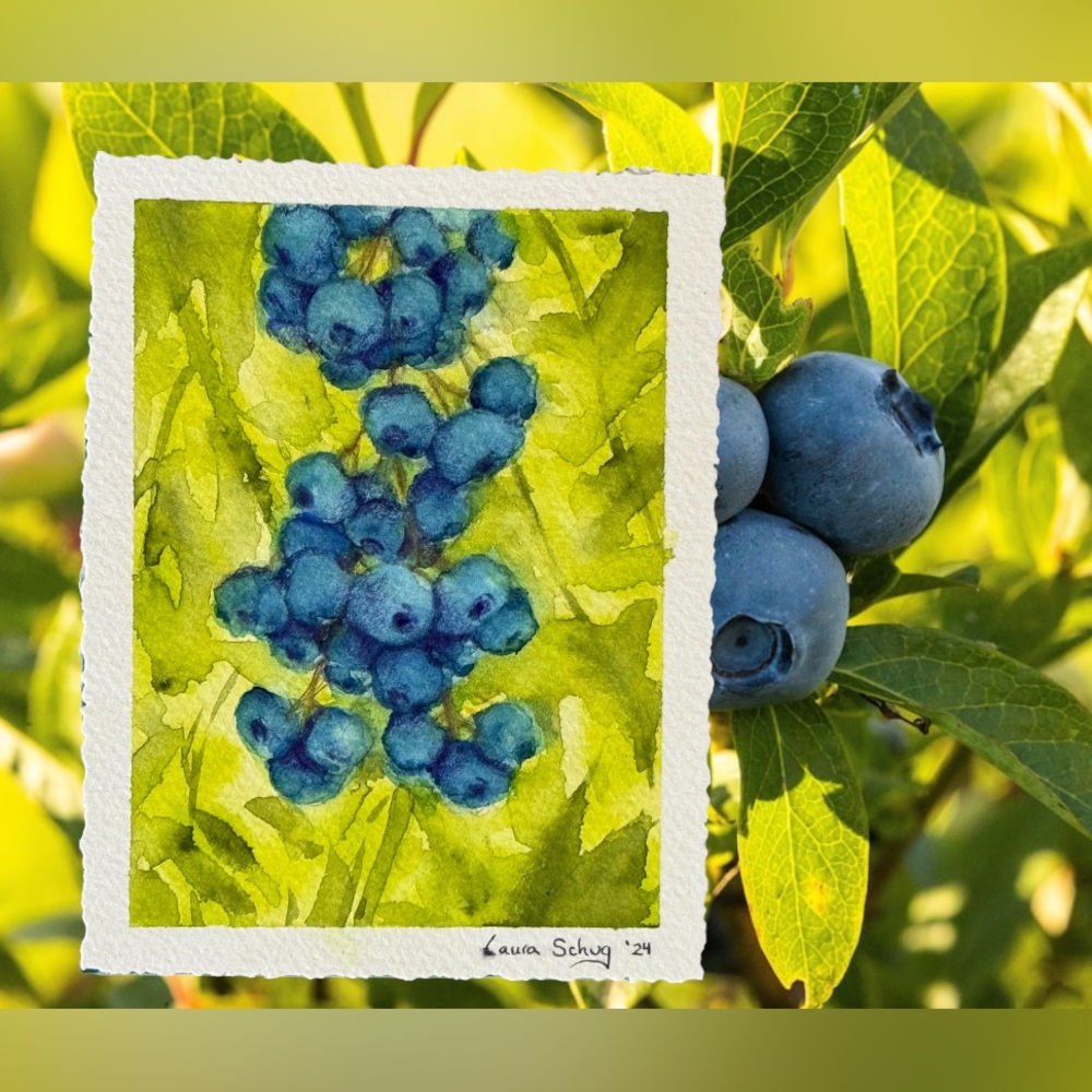 Original Watercolor Blueberries Light Study Nature Deckled Edge Fruit Leaves